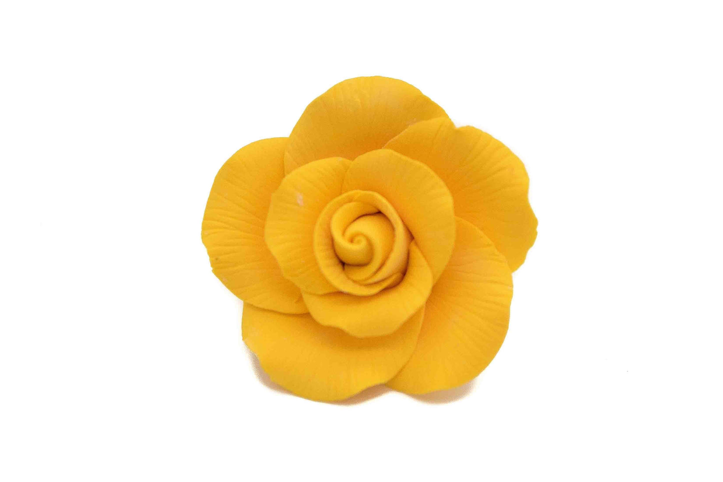 Large Yellow Rose