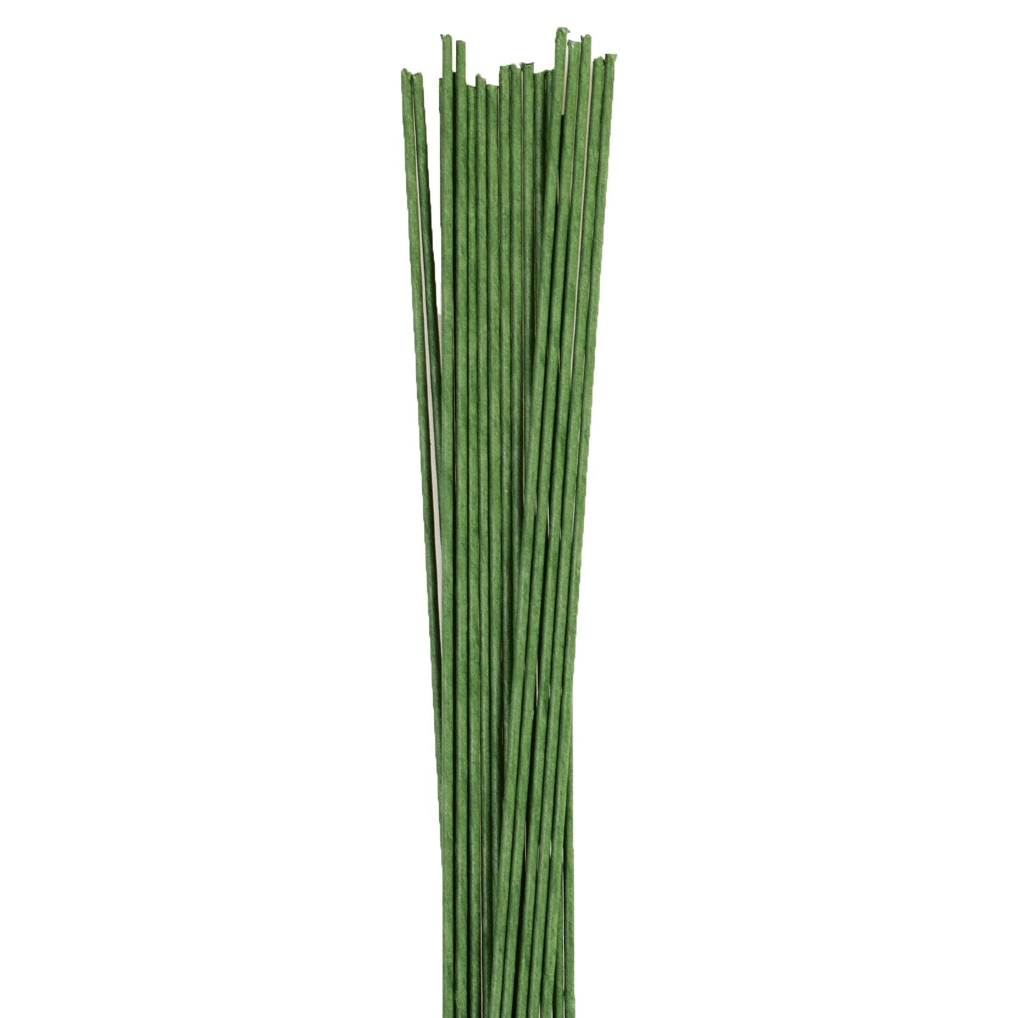 Cel Cakes 14g Green Floral Wire