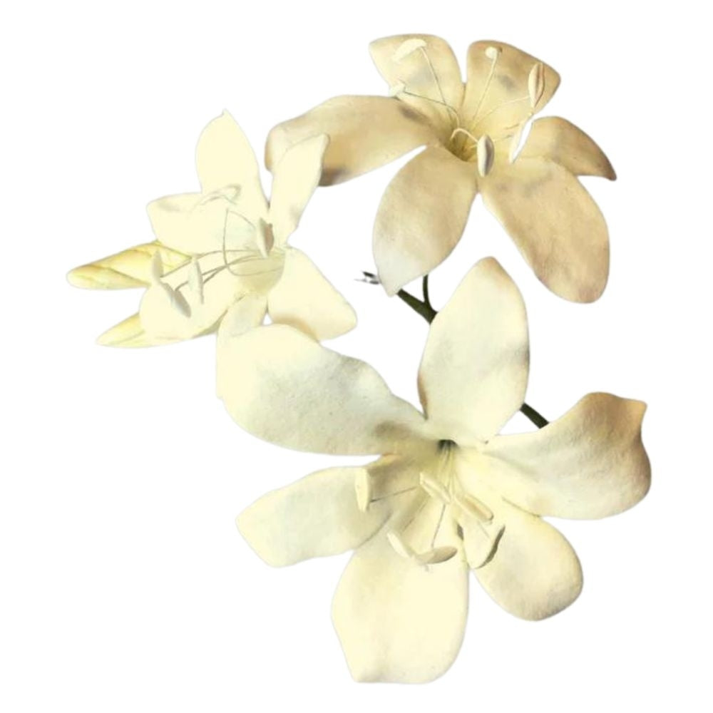 FMM Bridal Lily & Former Set