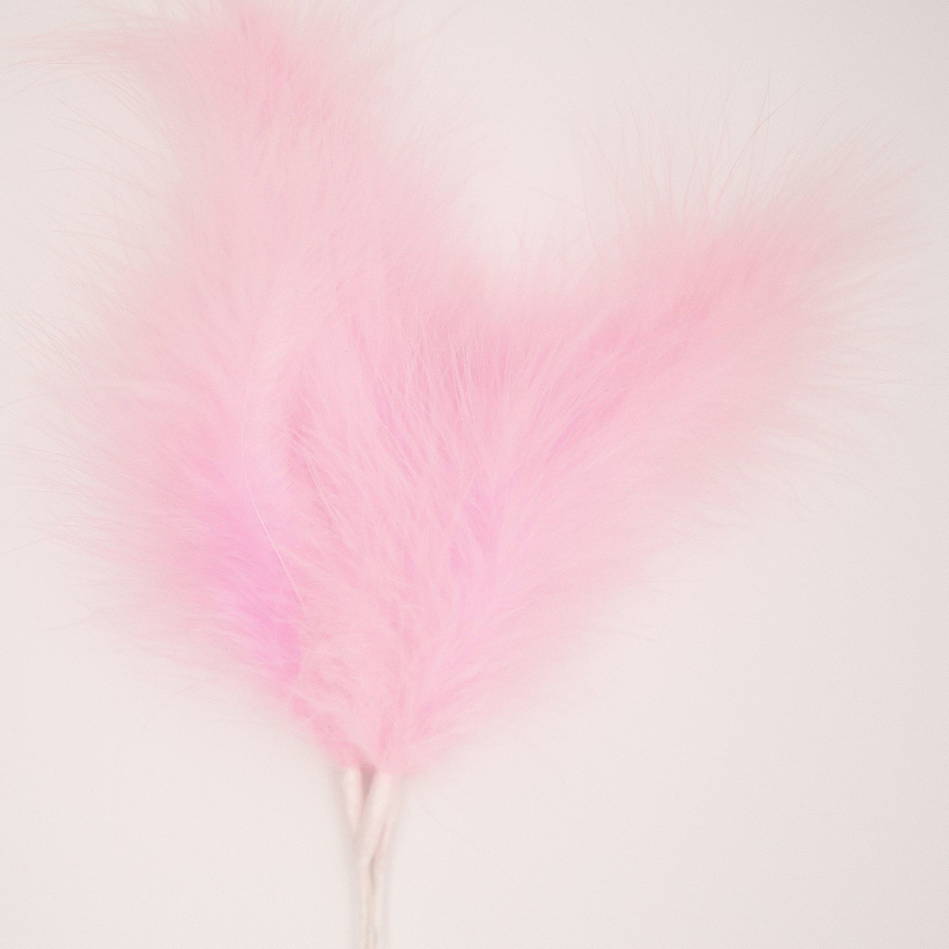 Pink Feather Topper