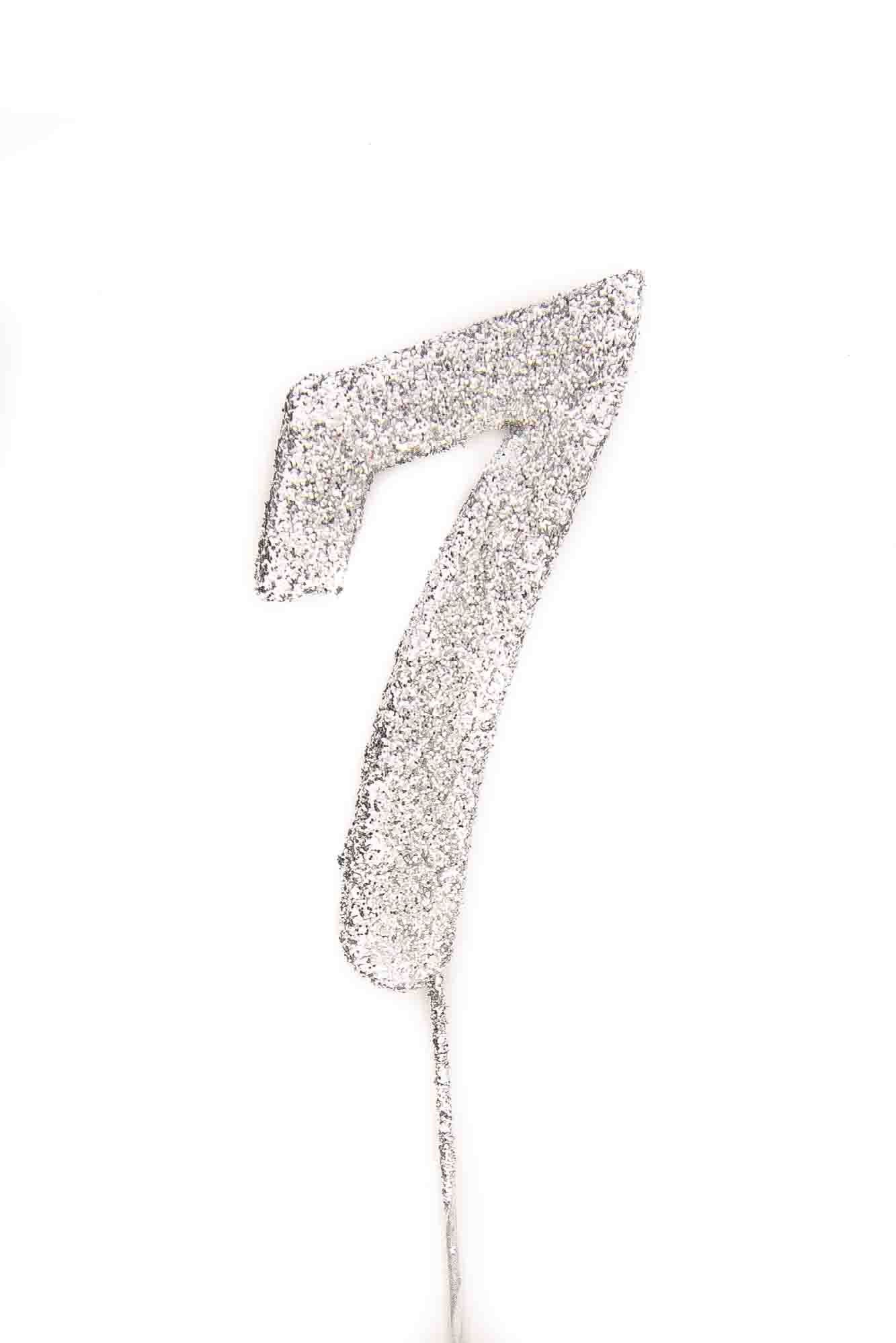 Silver Glitter Picks: Number 7