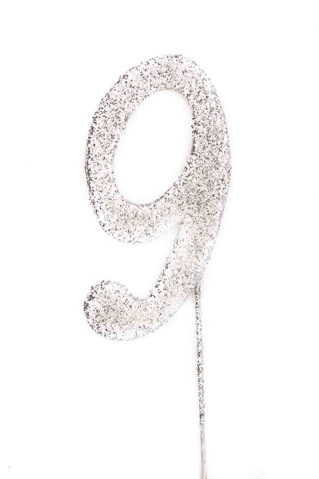 Silver Glitter Picks: Number 9