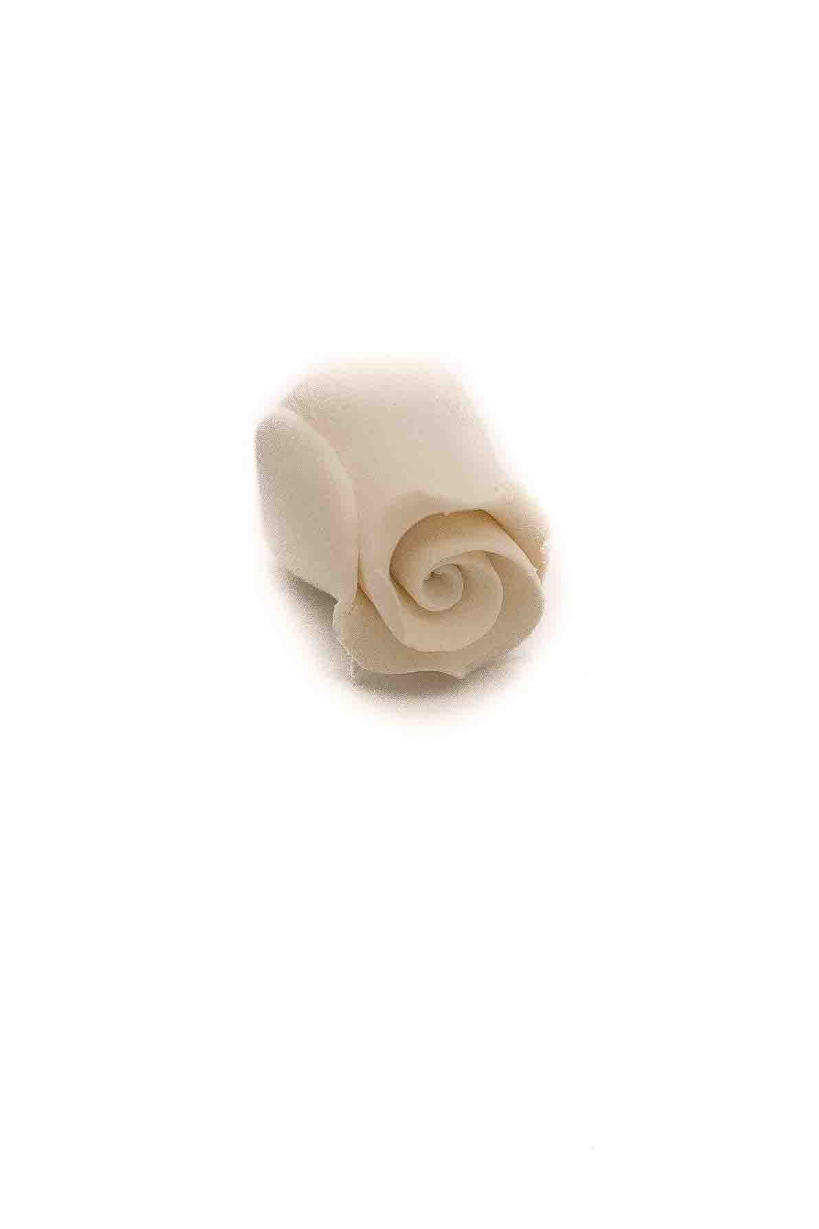 Small White Rose Bud
