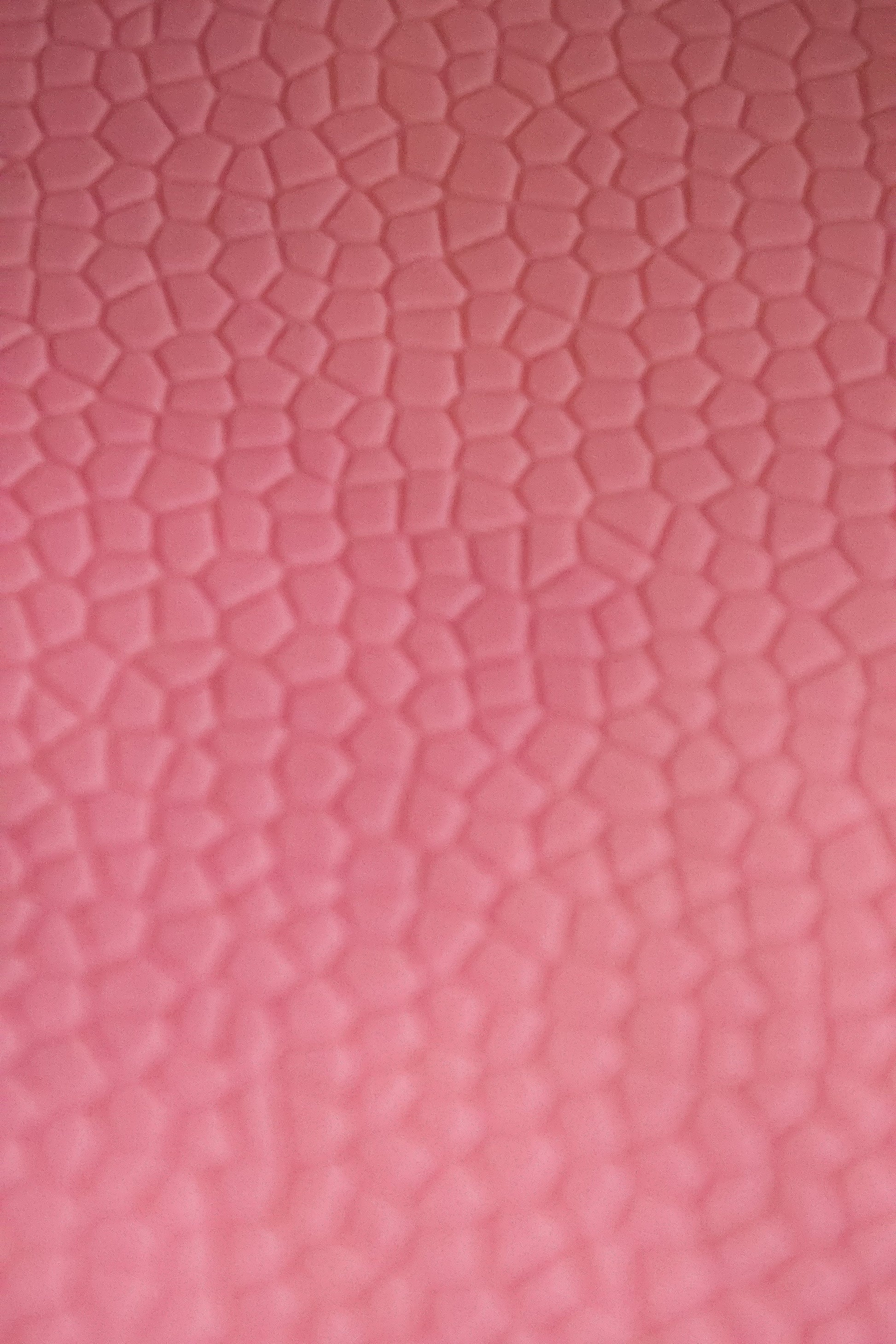 Cake Lace - Snake Skin