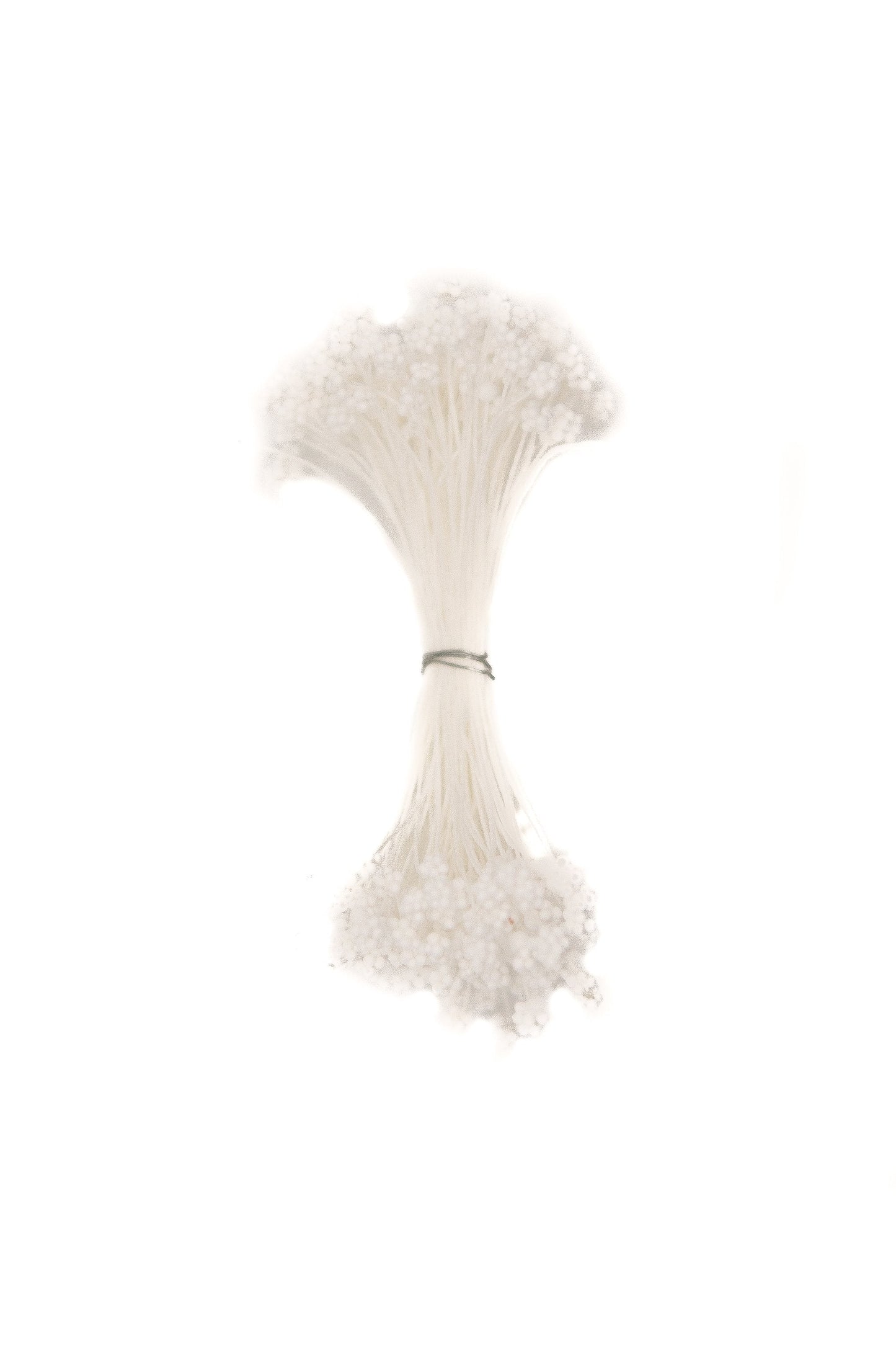 White Gypsophilia Flower Stamens