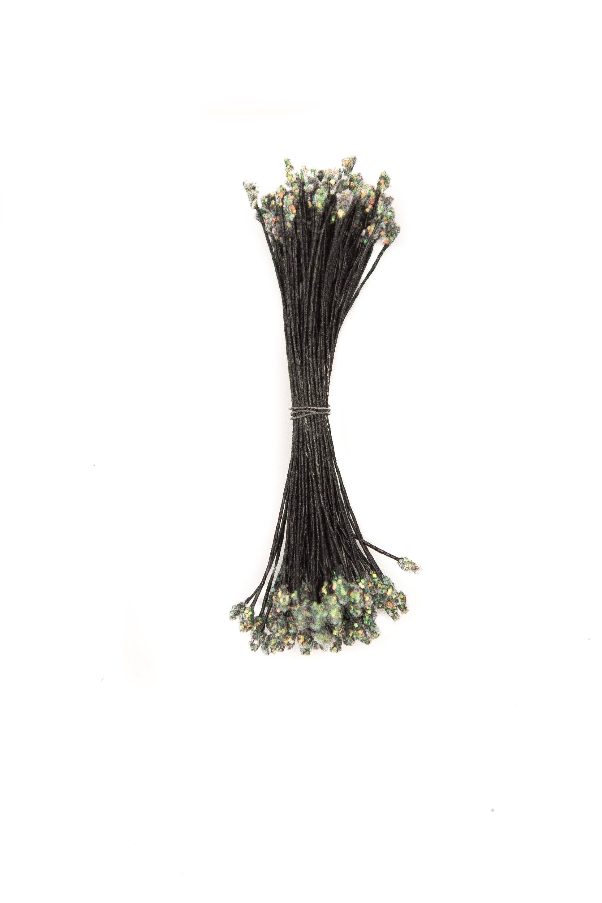 Black Small Stamens with a Green Shimmer Head