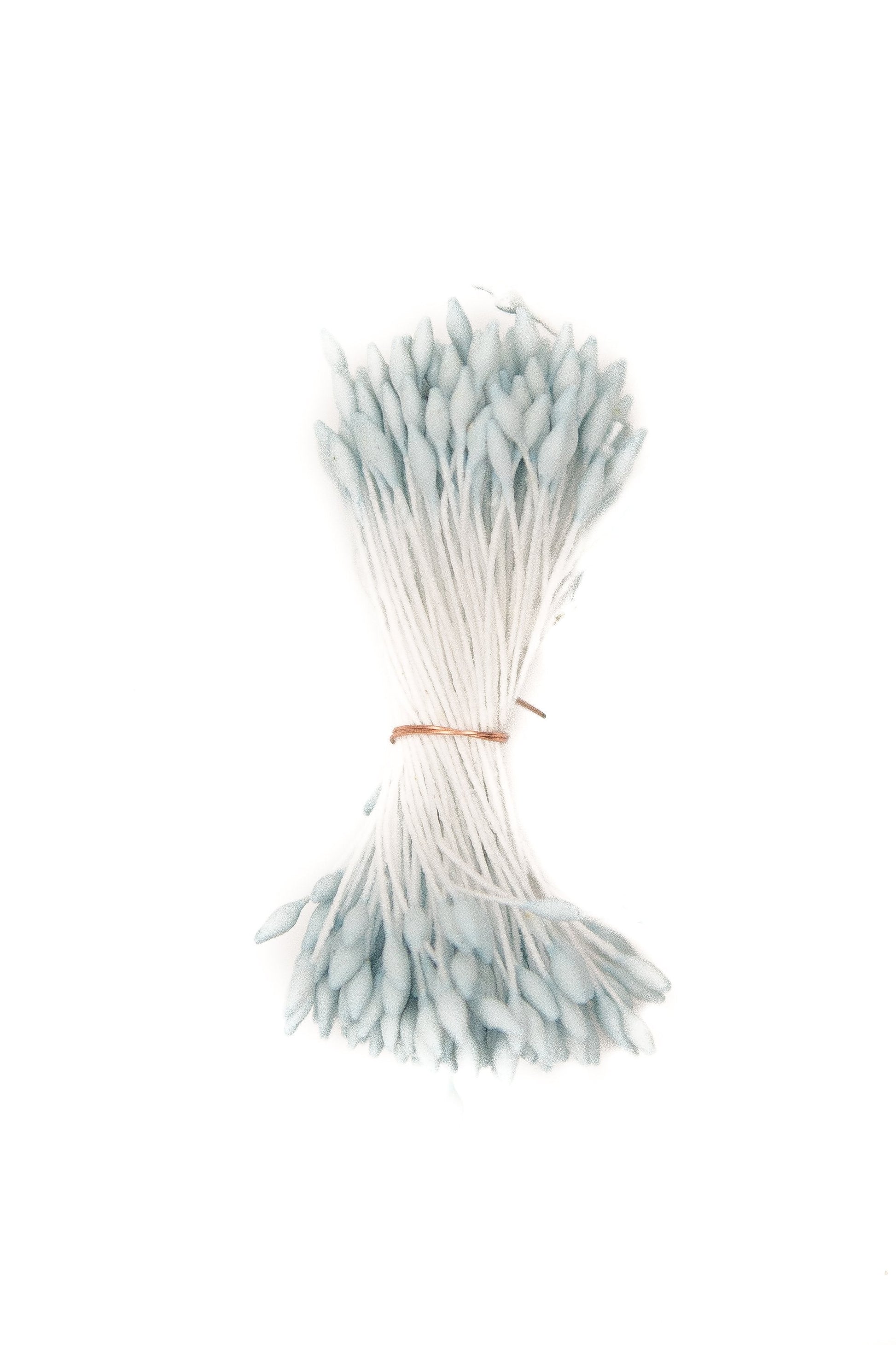 Small Blue Pointed Stamen