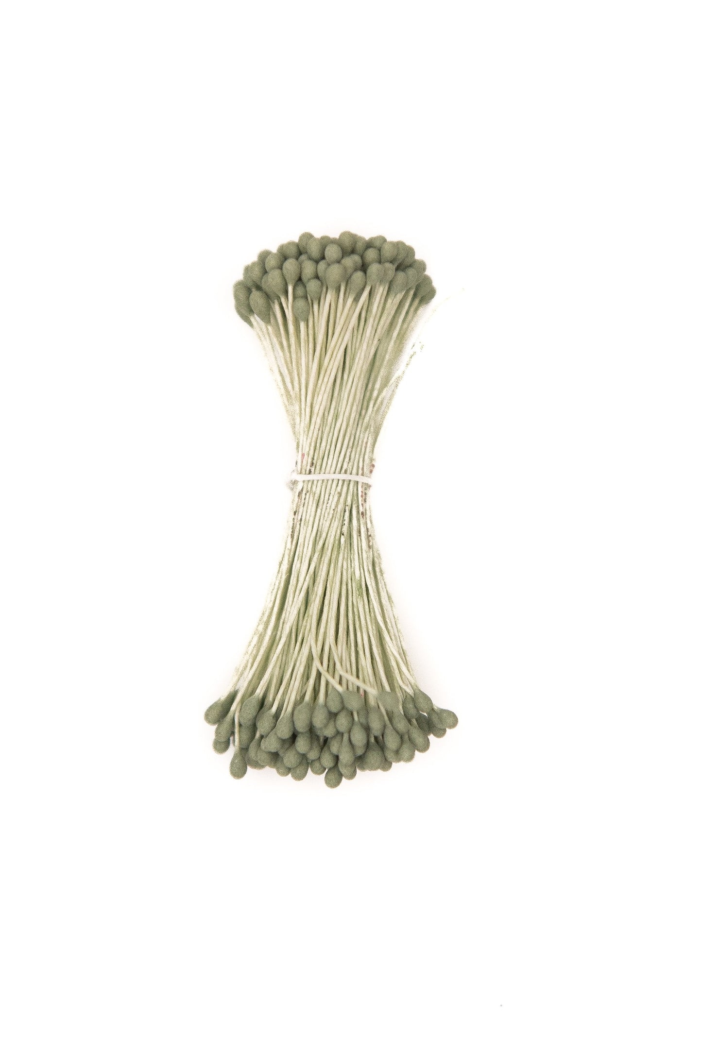 Dark Green Small Rounded Stamens