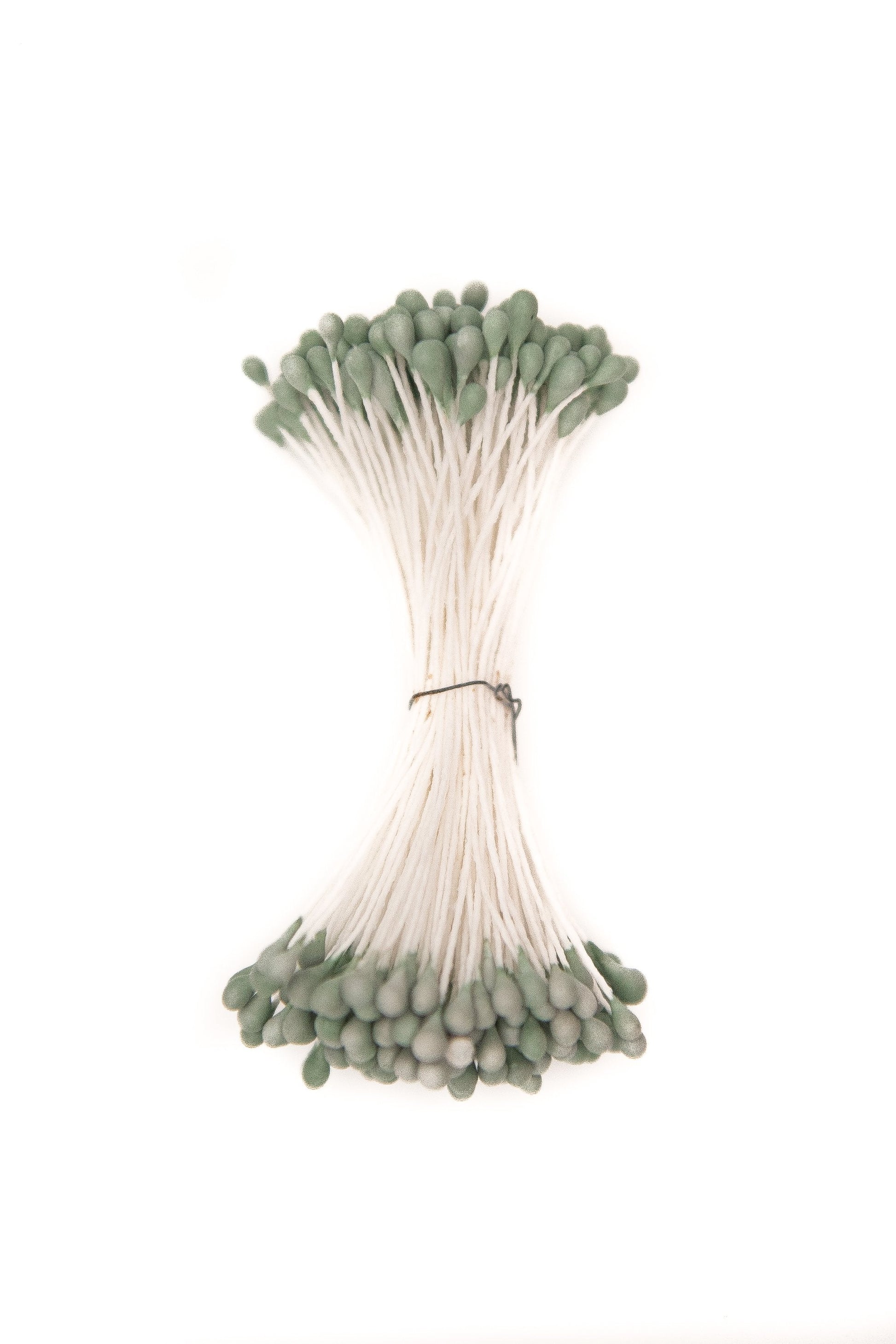 Dark Green Rounded Stamen Heads
