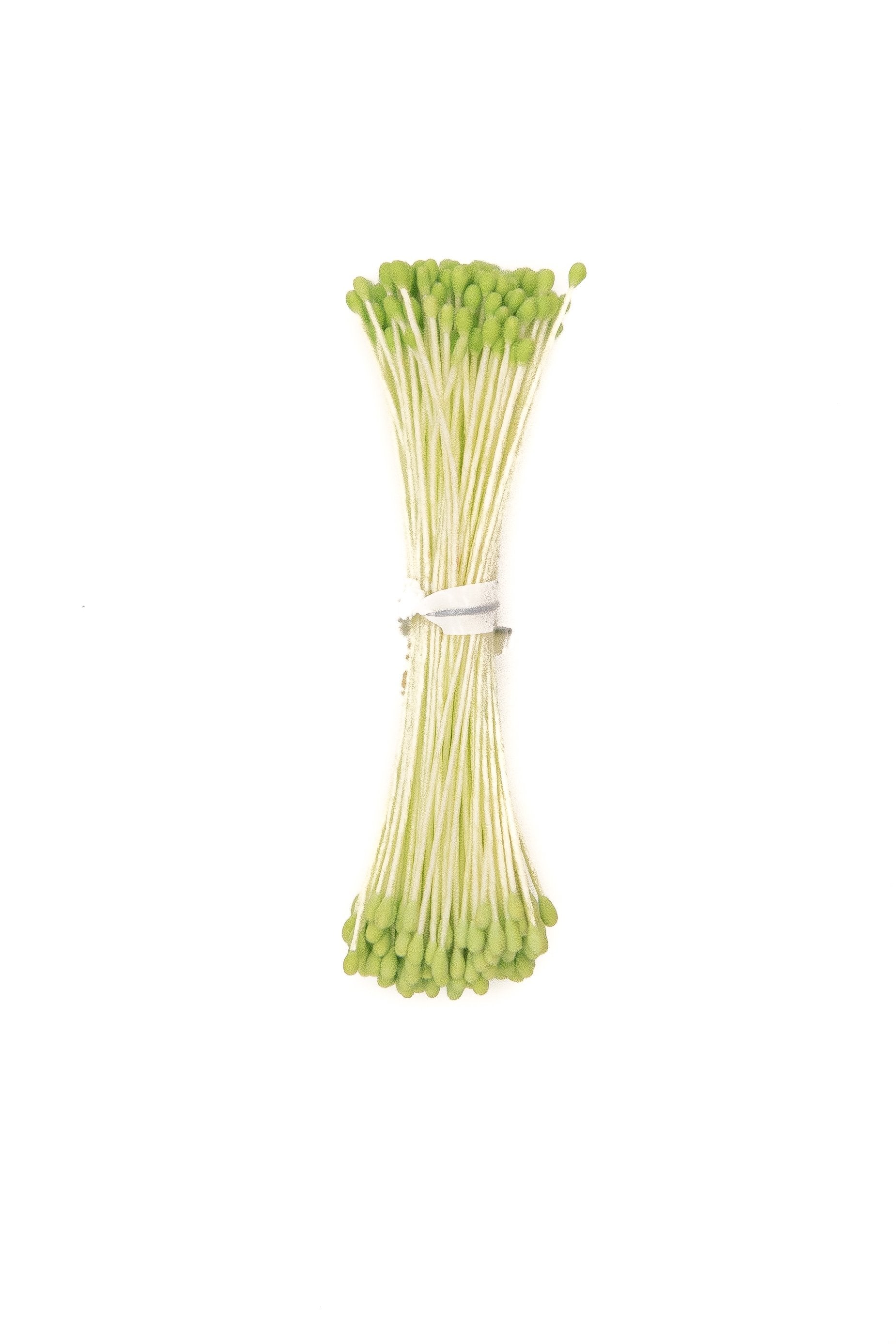 Small Green Rounded-Head Stamens.