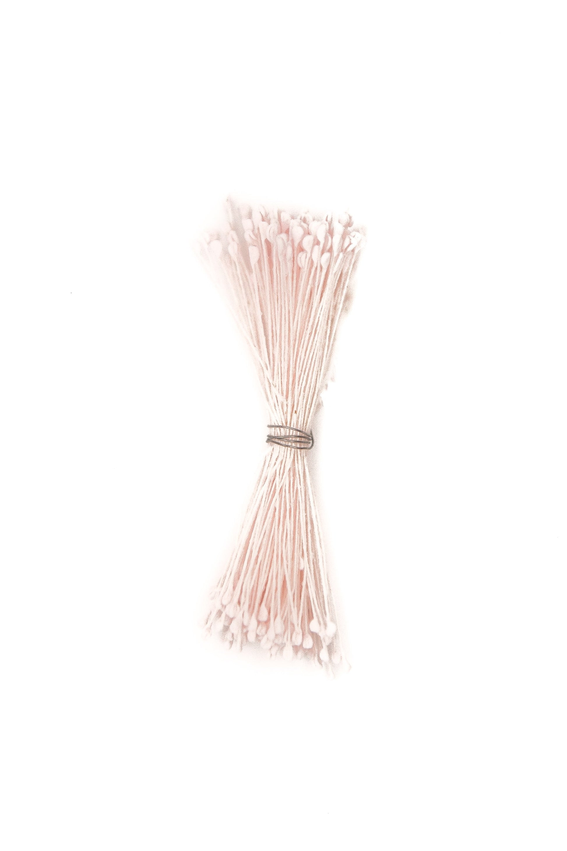 Small Pale Pink Pointed Head Stamens