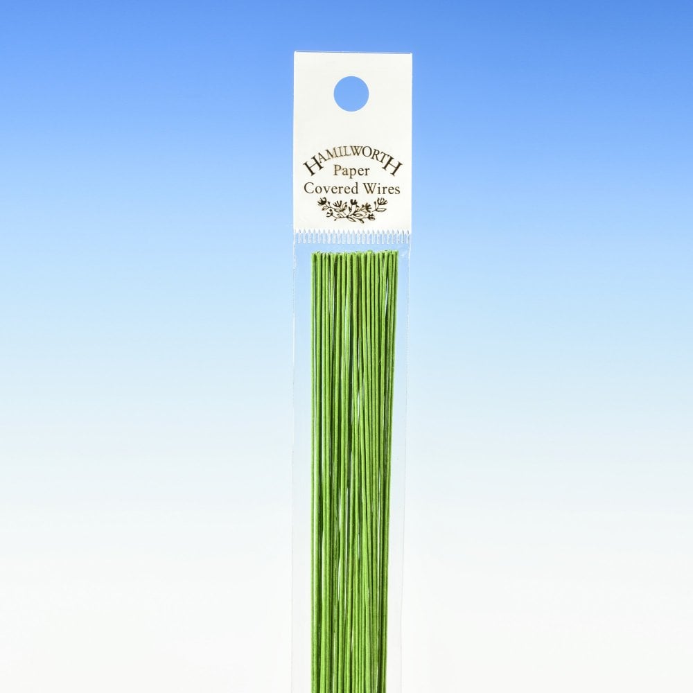 HAMILWORTH 26 Gauge - Nile Green Florist Wire x 25