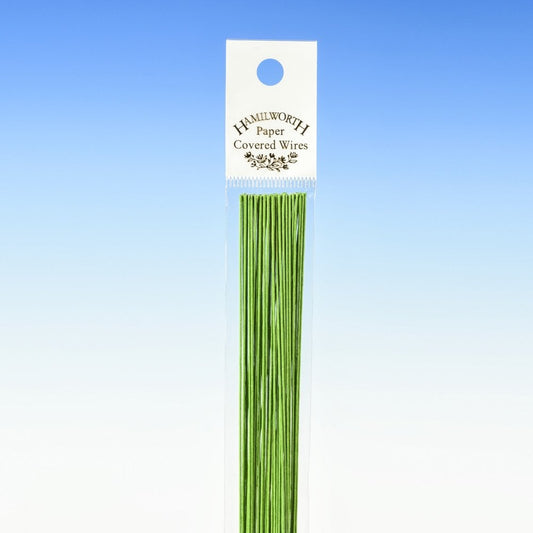 HAMILWORTH 26 Gauge - Nile Green Florist Wire x 25
